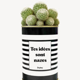 Tes idées sont nazes - Cactus