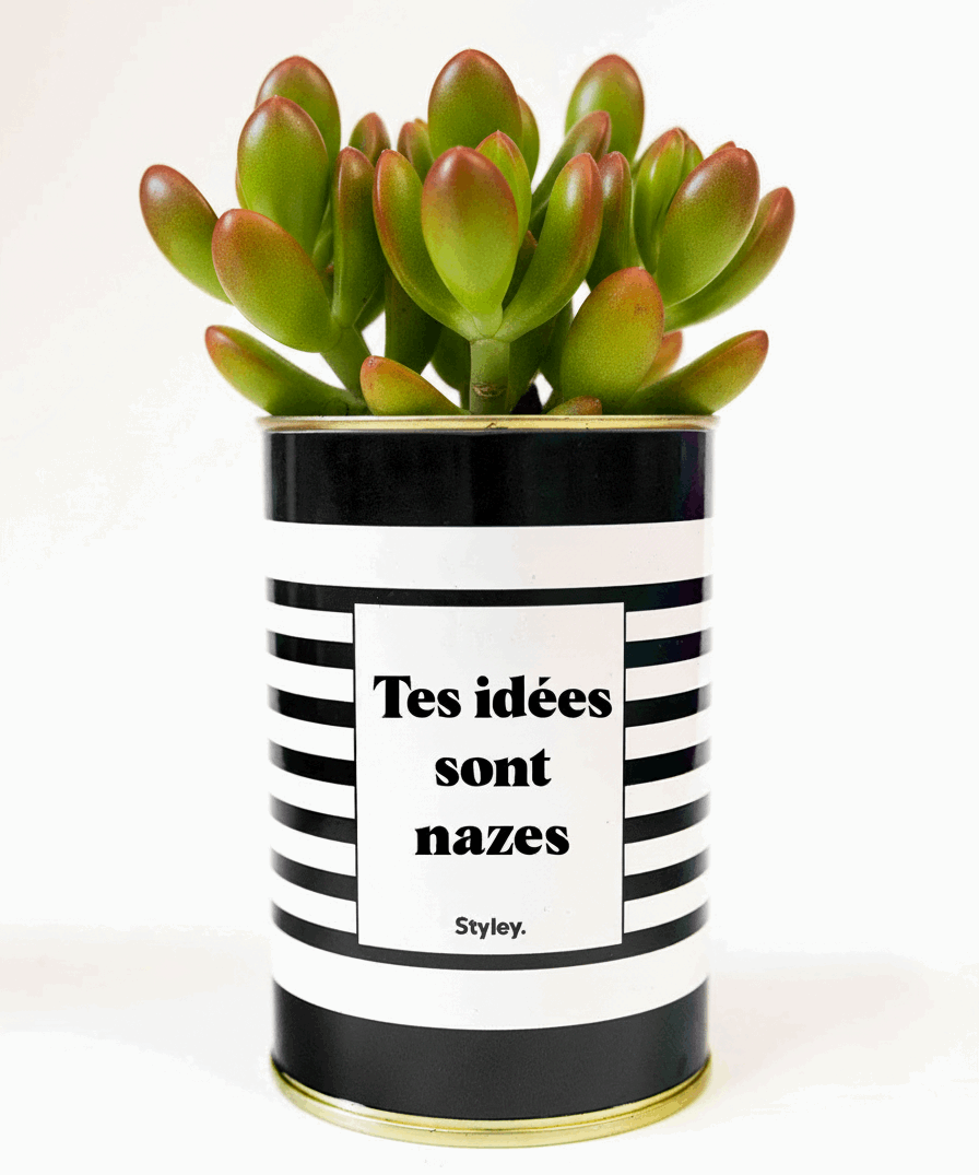 Tes idées sont nazes - Cactus
