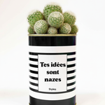 Tes idées sont nazes - Cactus