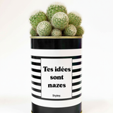 Tes idées sont nazes - Cactus