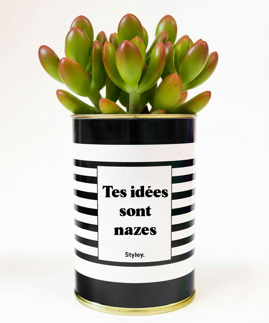 Tes idées sont nazes - Cactus