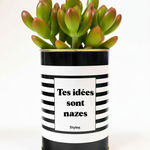 Tes idées sont nazes - Cactus