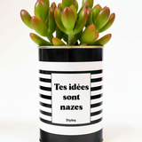 Tes idées sont nazes - Cactus
