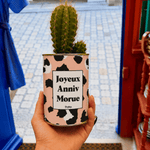 Cadeau anniversaire, cactus en pot Joyeux anniv morue