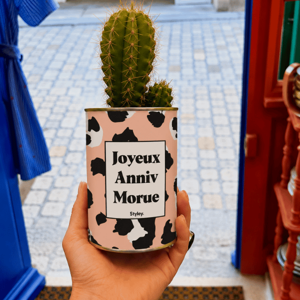 Cadeau anniversaire, cactus en pot Joyeux anniv morue