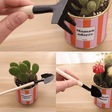 Kit de jardinage - Plantes grasses