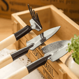 Kit de jardinage - Plantes grasses