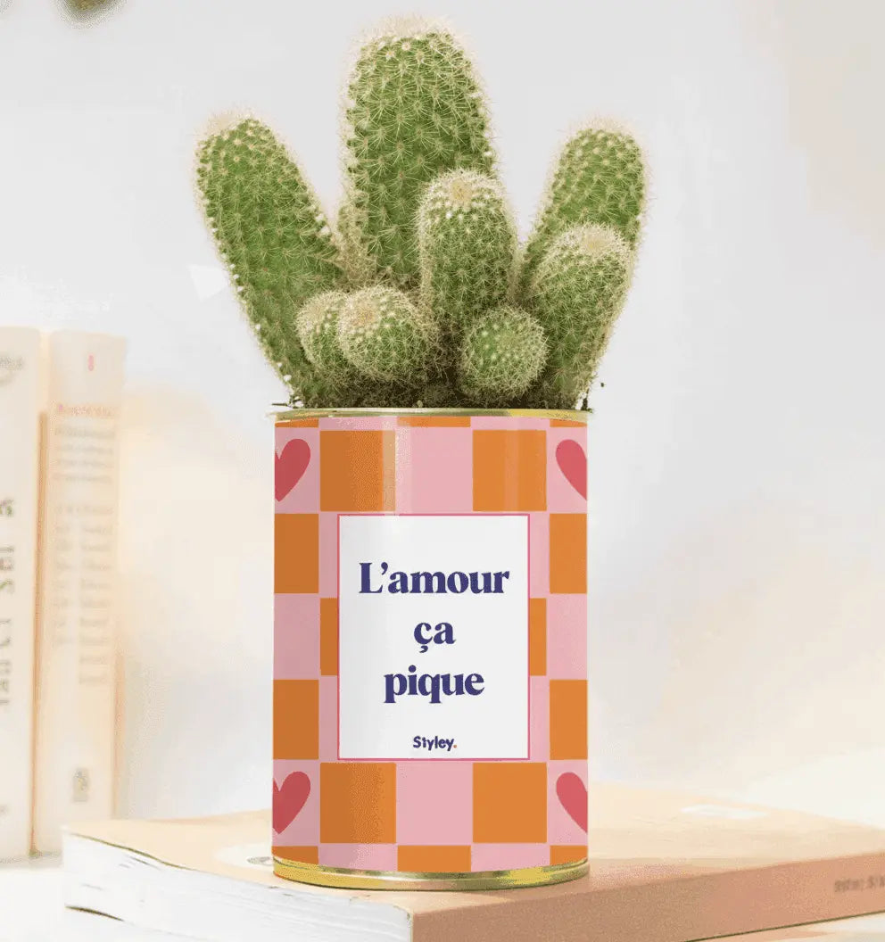 L'amour ça pique - Plante grasse