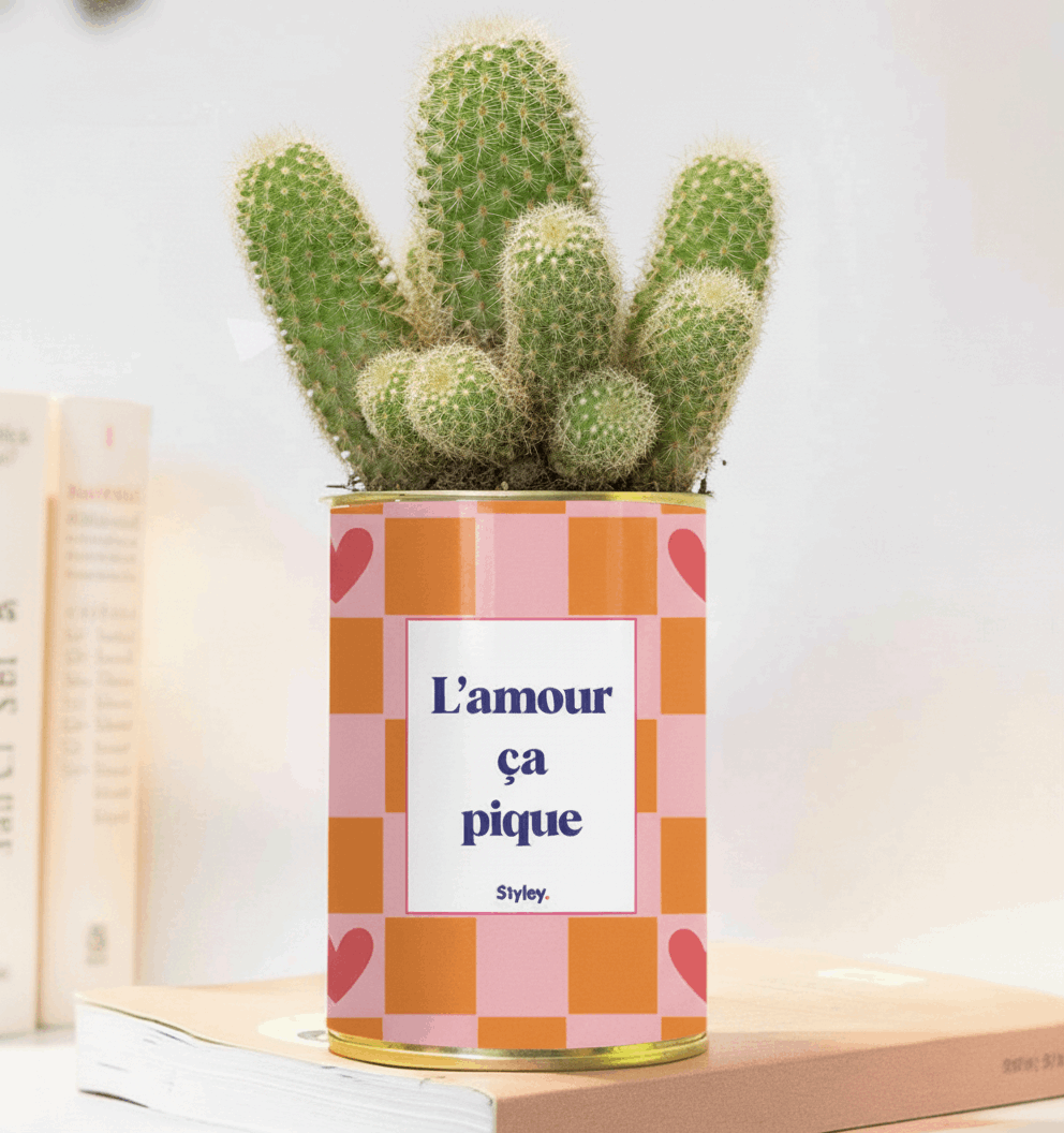 L'amour ça pique - Plante grasse