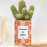 L'amour ça pique - Plante grasse