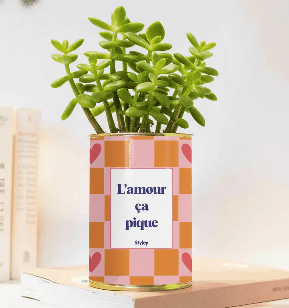 L'amour ça pique - Plante grasse