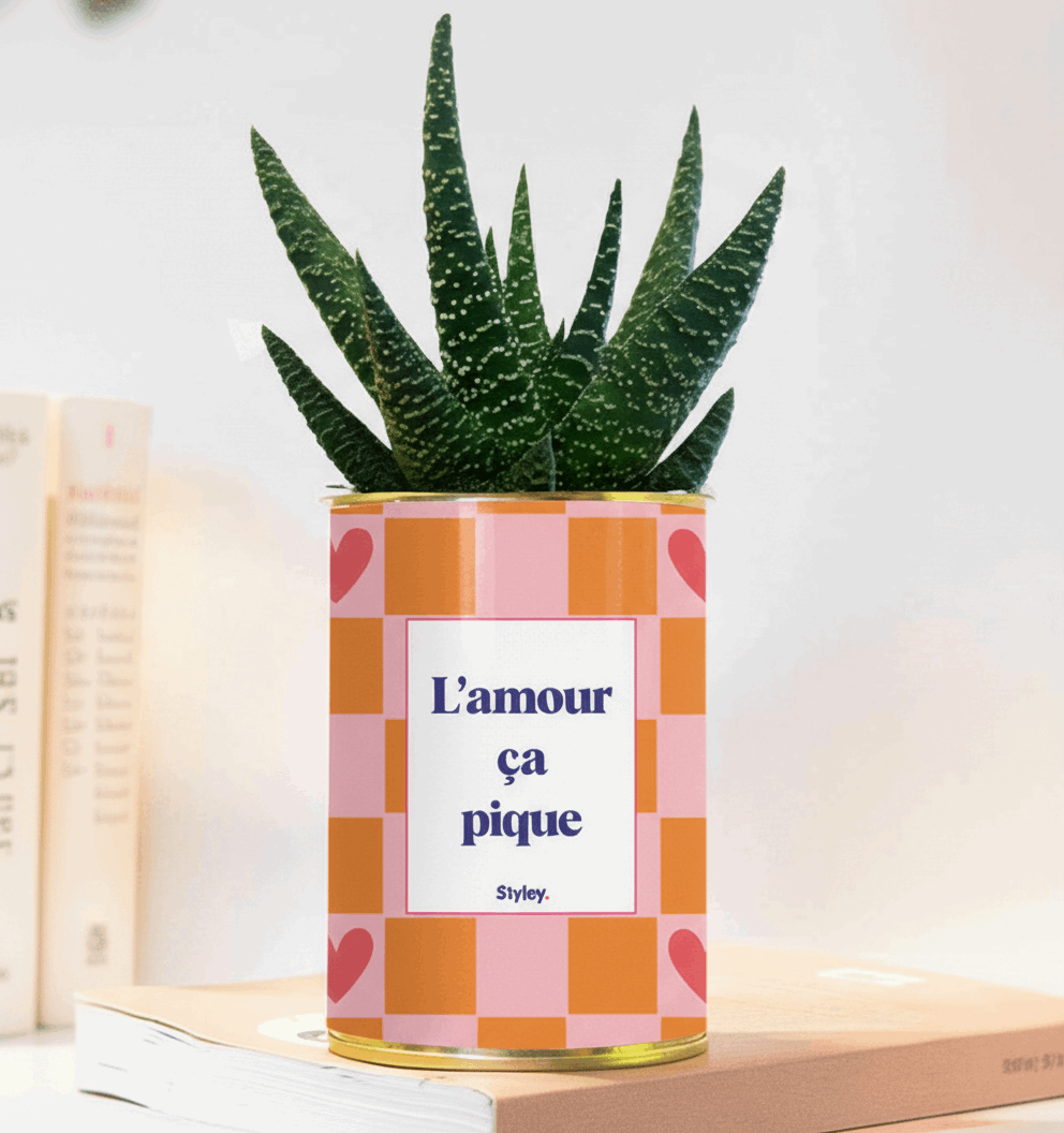 L'amour ça pique - Plante grasse