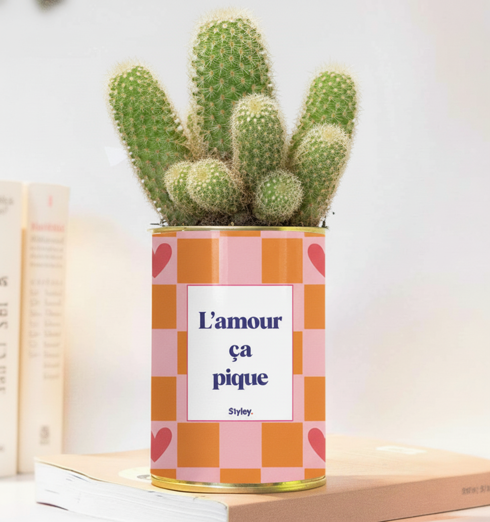 L'amour ça pique - Plante grasse