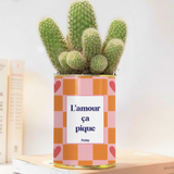 L'amour ça pique - Plante grasse