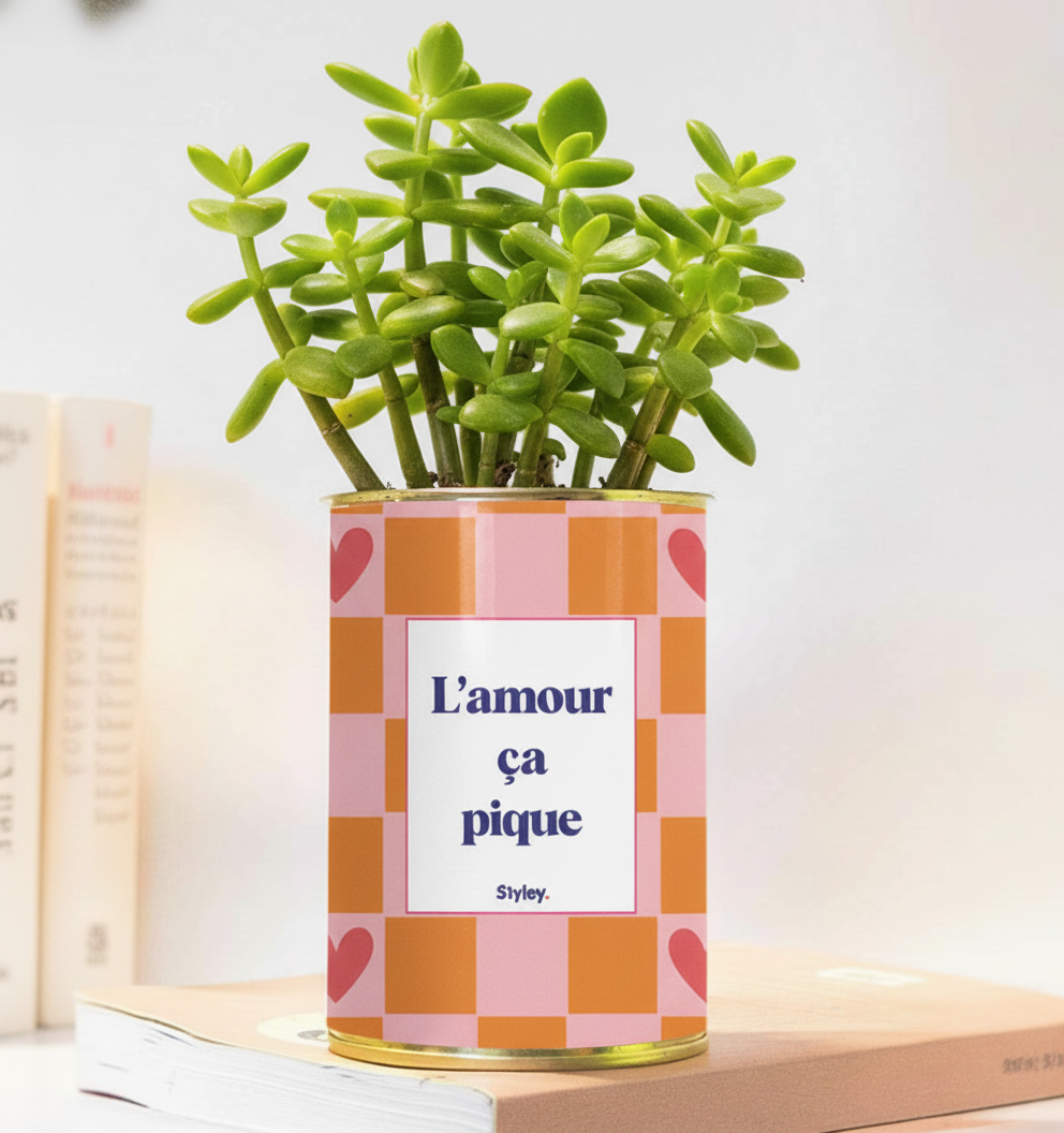 L'amour ça pique - Plante grasse