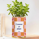 L'amour ça pique - Plante grasse