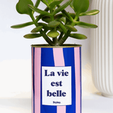 La vie est belle - pot à rayures - Cactus- Plante grasse