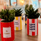 Love Love Love - pot à rayures - Plante
