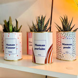 Maman parfaite - Plante
