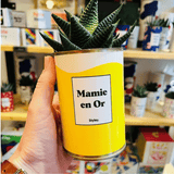 Mamie en Or - Plante