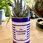Cactus Marin - Plante Personnalisable