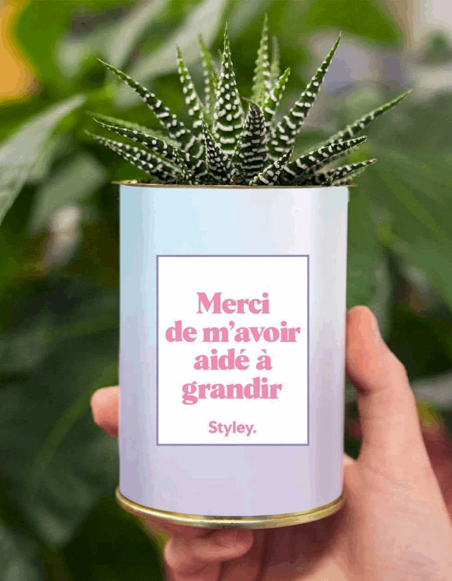 Merci de m'avoir aidé à grandir - Cactus