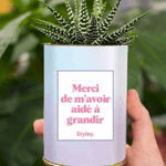 Merci de m'avoir aidé à grandir - Cactus