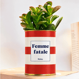 Femme fatale - Plante