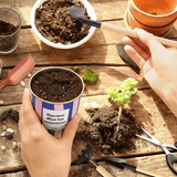 Kit de jardinage - Plantes grasses