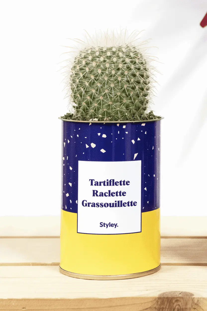 Tartiflette, raclette, grassouillette - Cactus