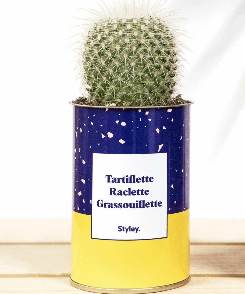 Tartiflette, raclette, grassouillette - Cactus