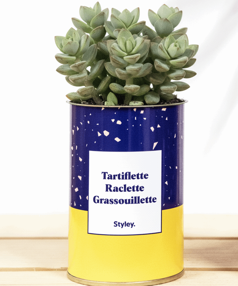Tartiflette, raclette, grassouillette - Cactus