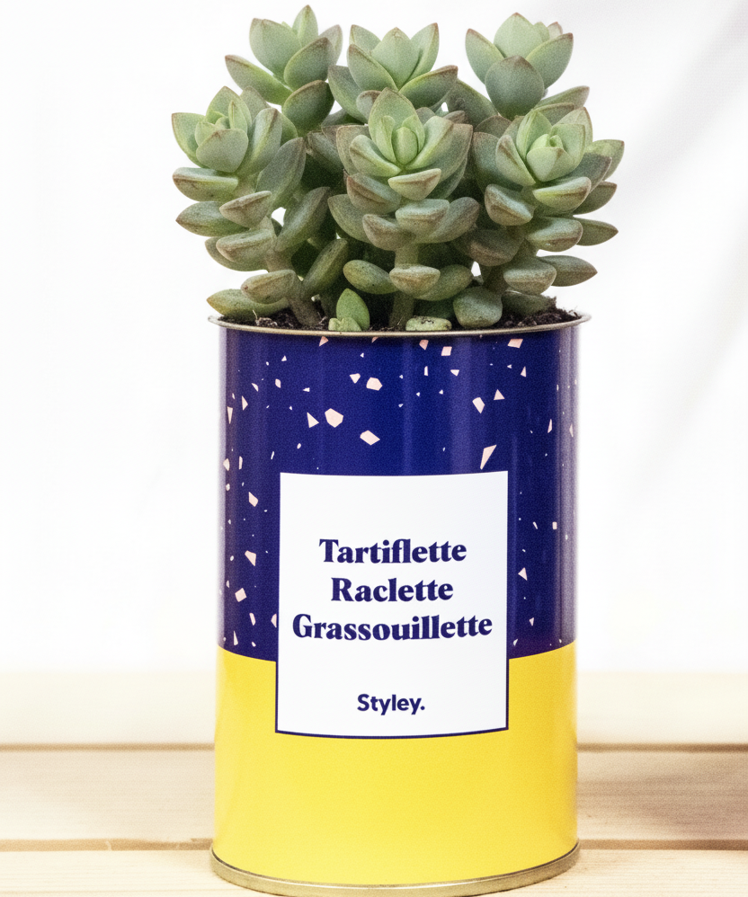 Tartiflette, raclette, grassouillette - Cactus