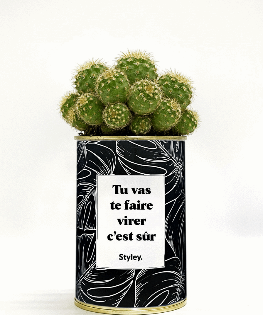 Tu vas te faire virer, c'est sûr - Cactus