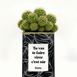 Tu vas te faire virer, c'est sûr - Cactus