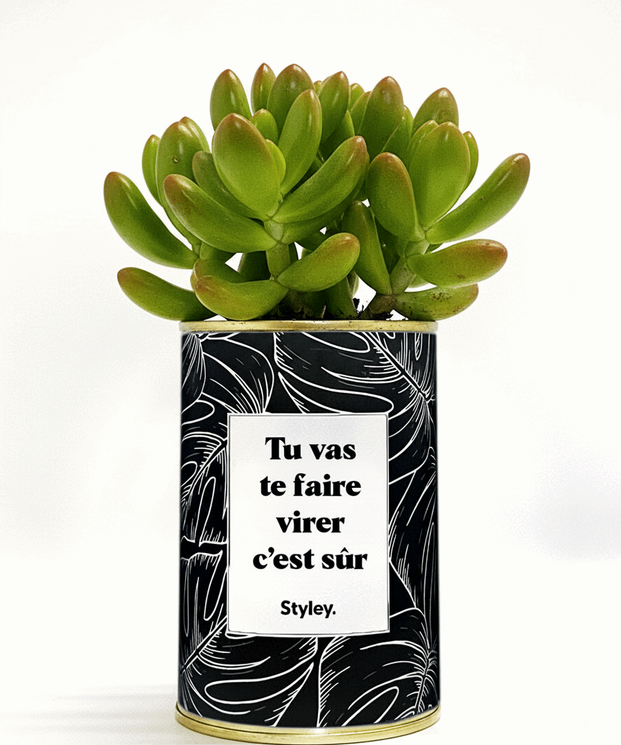 Tu vas te faire virer, c'est sûr - Cactus