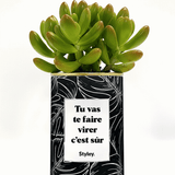 Tu vas te faire virer, c'est sûr - Cactus