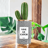 Vive le Catch - Cactus
