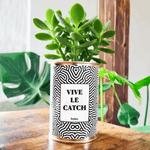 Vive le Catch - Cactus